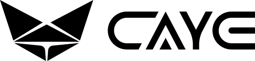 Логотип CAYE